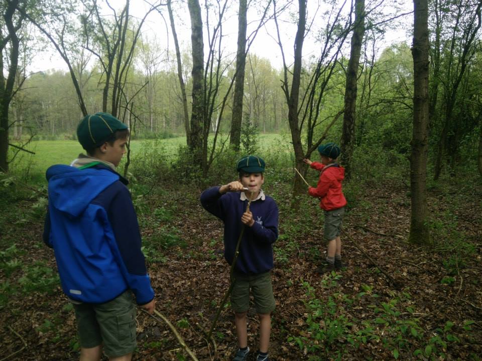 Sint-Martinus den XIIde - Welpen Hollandsveld April mei